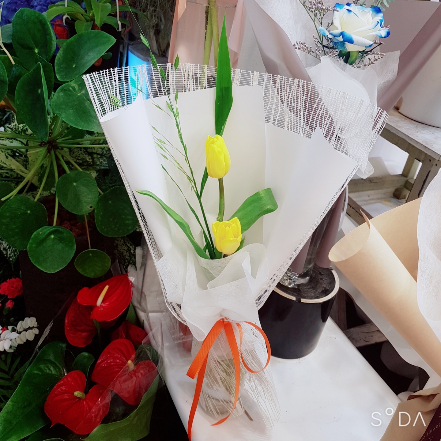 한송이꽃